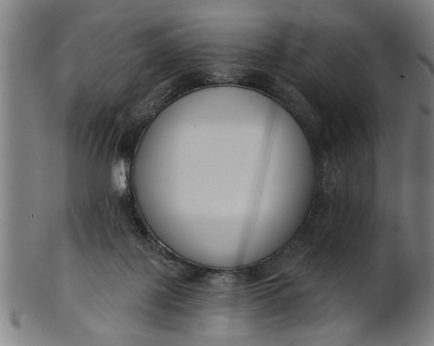 X0000101200075200807111019