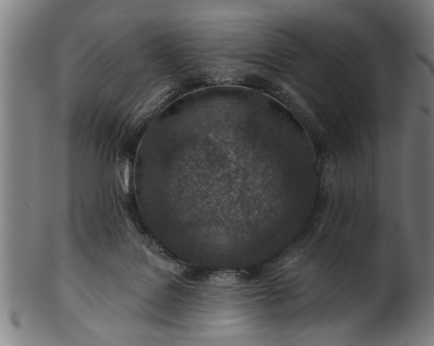 X0000101200076200807111019