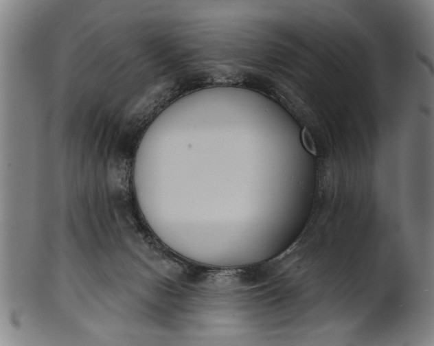 X0000101200078200807111019