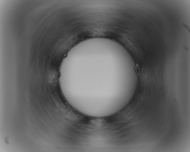 X0000101200079200807111019