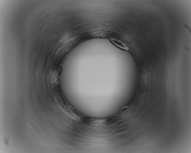 X0000101200081200807111019