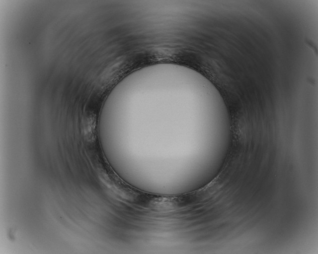 X0000101200082200807111019