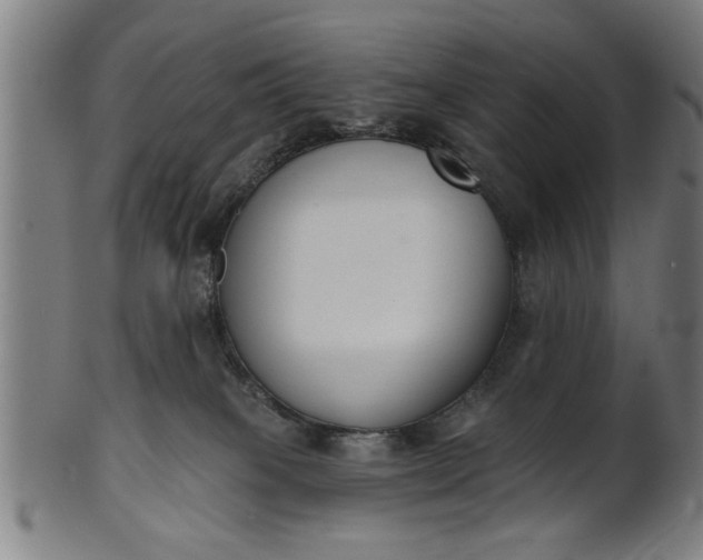 X0000101200085200807111019