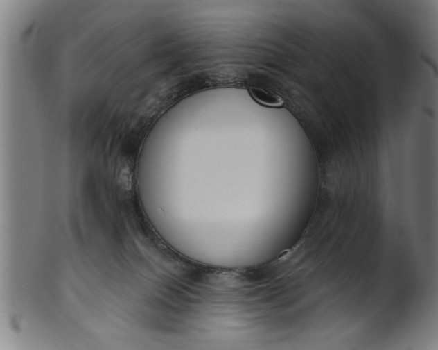X0000101200086200807111019