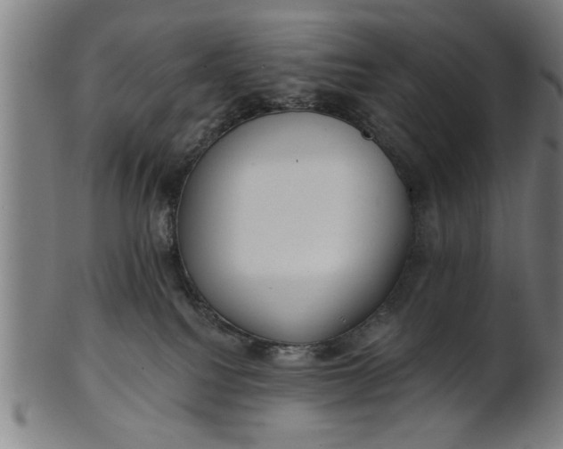 X0000101200088200807111019