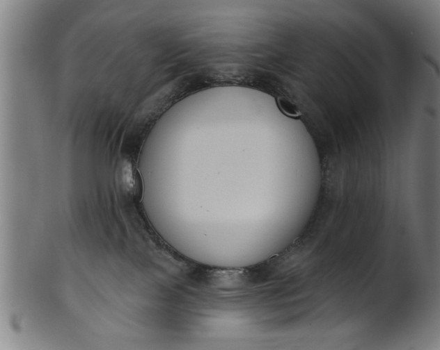 X0000101200089200807111019