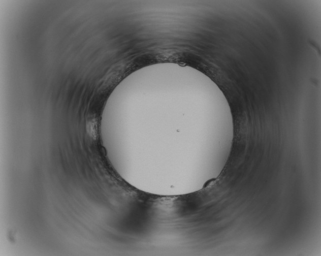 X0000101200090200807111019