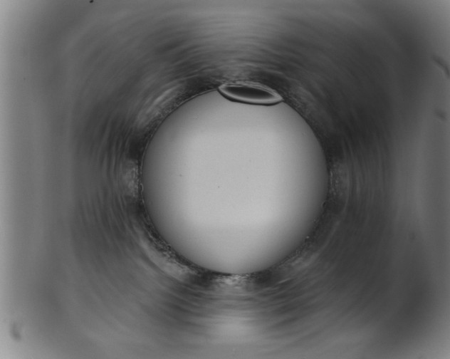 X0000101200092200807111019