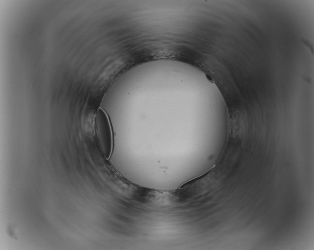 X0000101200093200807111019