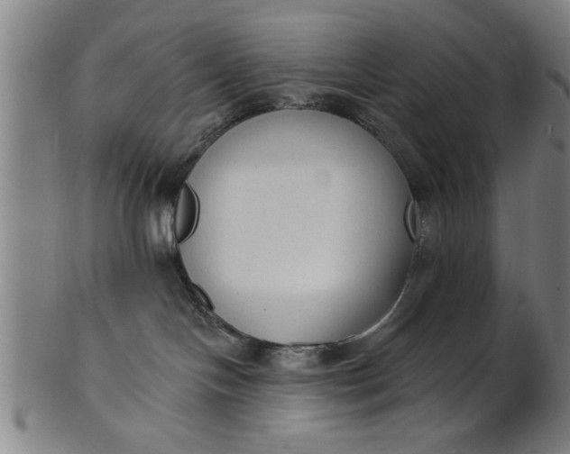 X0000101200094200807111019
