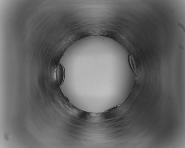 X0000101200095200807111019