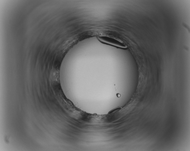 X0000101200096200807111019