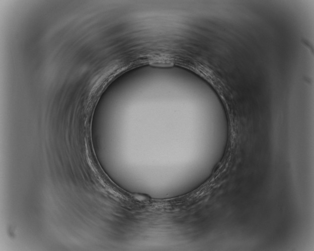 X0000101200097200807111019