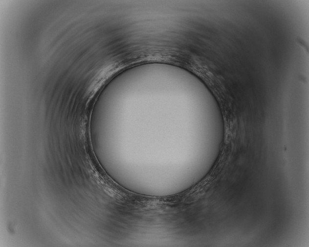 X0000101200098200807111019