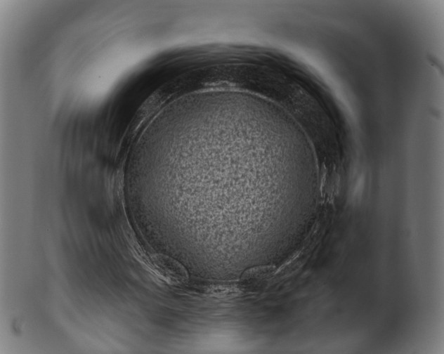 X0000101200099200807111019