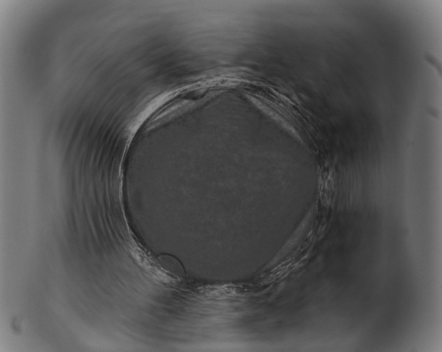 X0000101200100200807111019