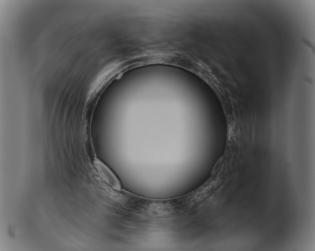 X0000101200101200807111019