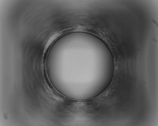 X0000101200102200807111019