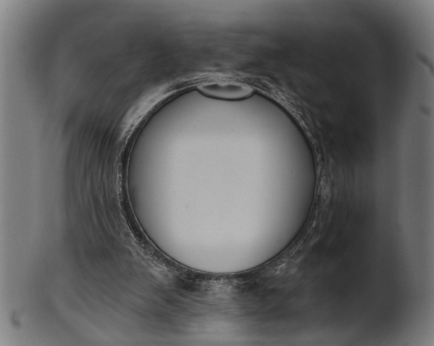 X0000101200103200807111019