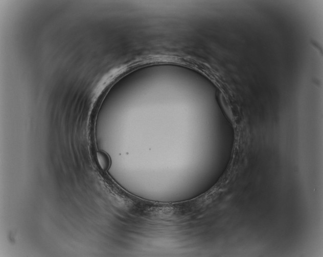 X0000101200104200807111019