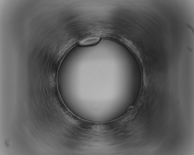 X0000101200105200807111019