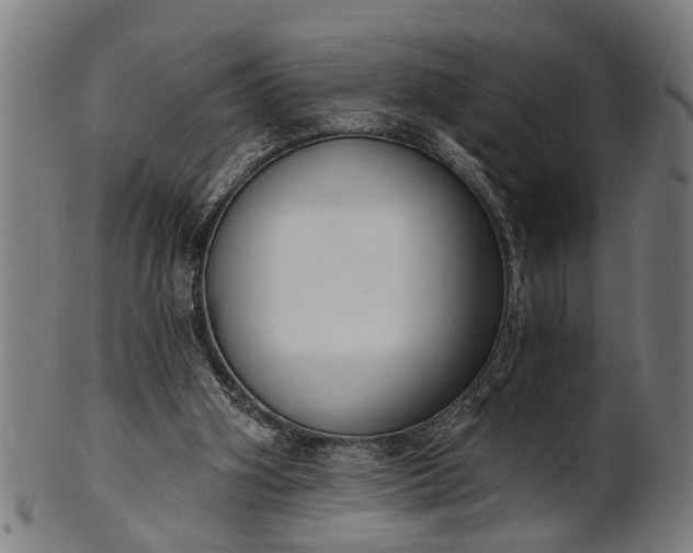 X0000101200106200807111019