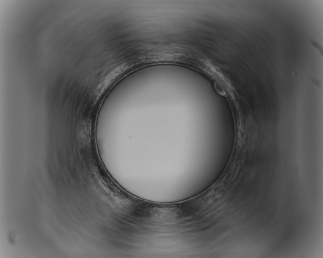 X0000101200107200807111019