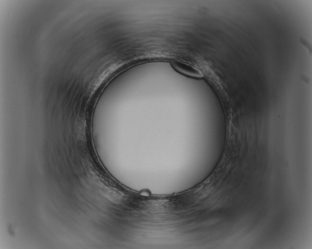 X0000101200108200807111019