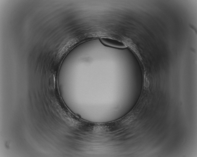 X0000101200109200807111019