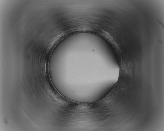 X0000101200110200807111019