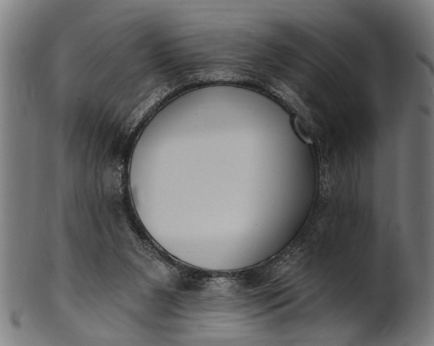 X0000101200111200807111019