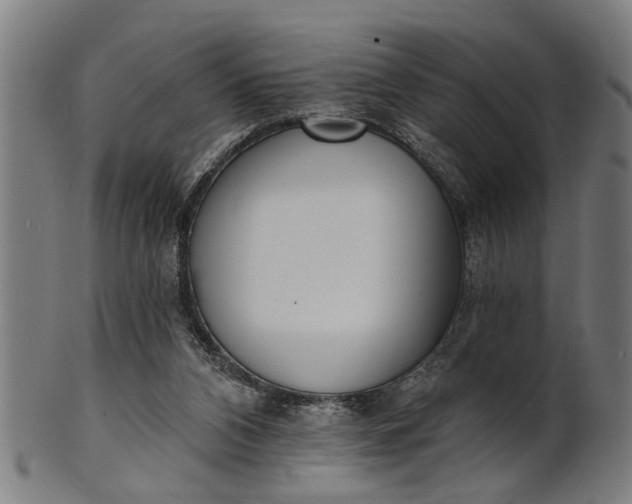 X0000101200112200807111019