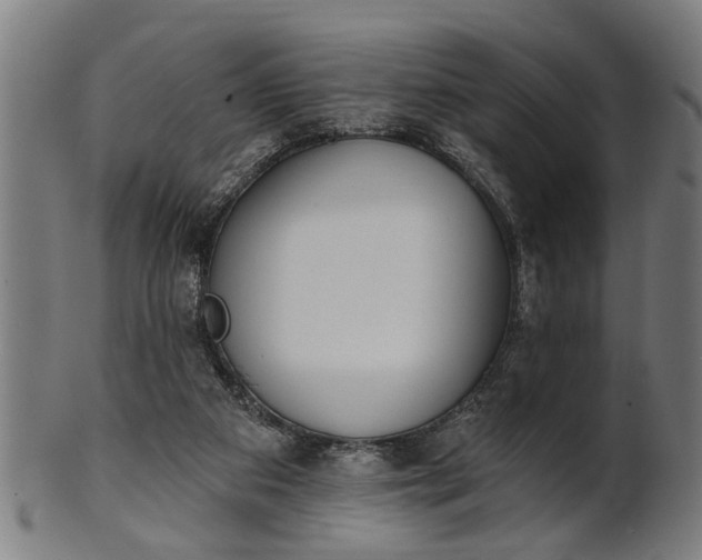 X0000101200113200807111018