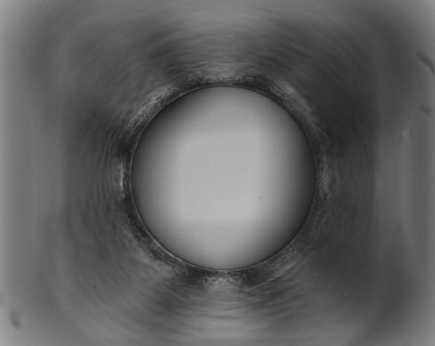 X0000101200115200807111018