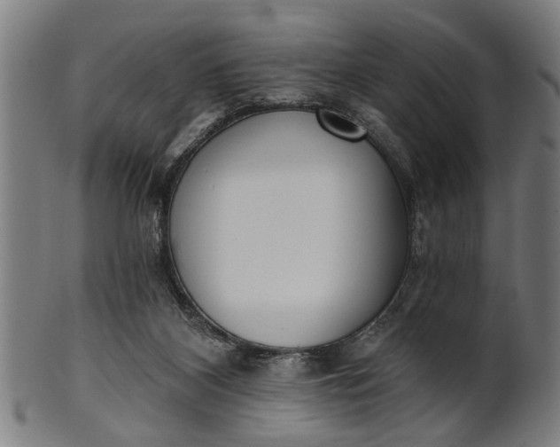 X0000101200116200807111018