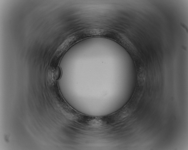 X0000101200119200807111018