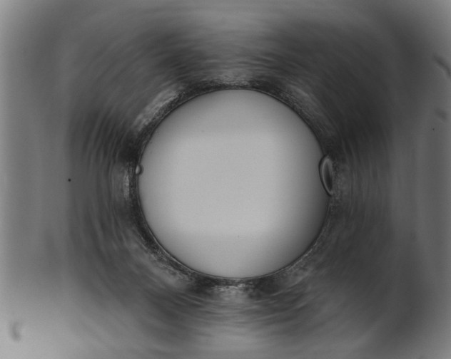X0000101200120200807111018