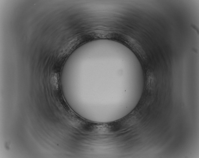 X0000101200121200807111018