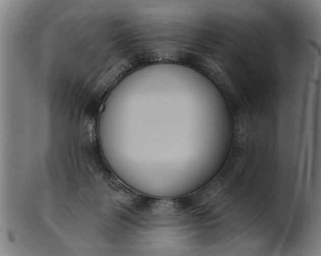 X0000101200123200807111018