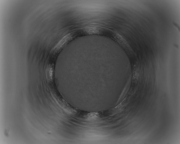 X0000101200124200807111018