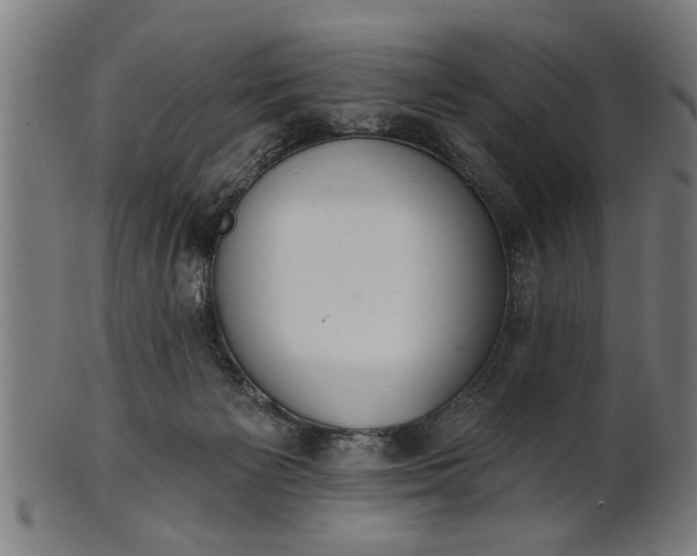 X0000101200125200807111018