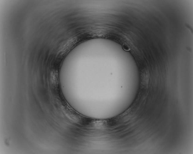 X0000101200126200807111018