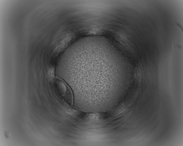 X0000101200127200807111018
