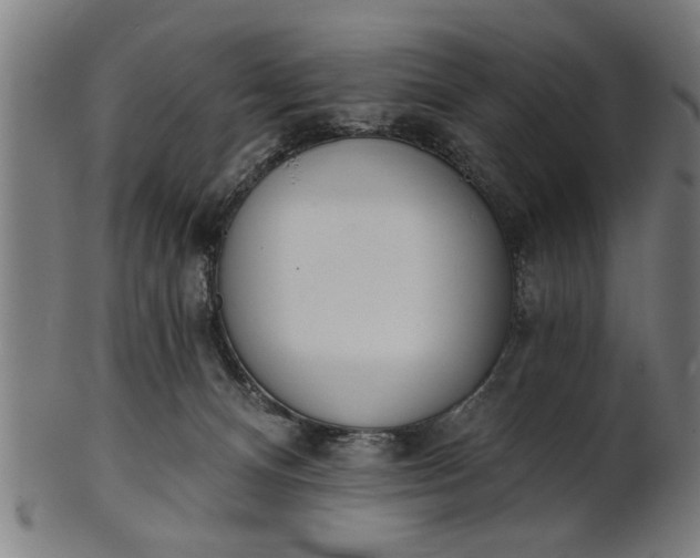 X0000101200128200807111018