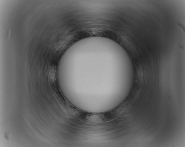 X0000101200129200807111018