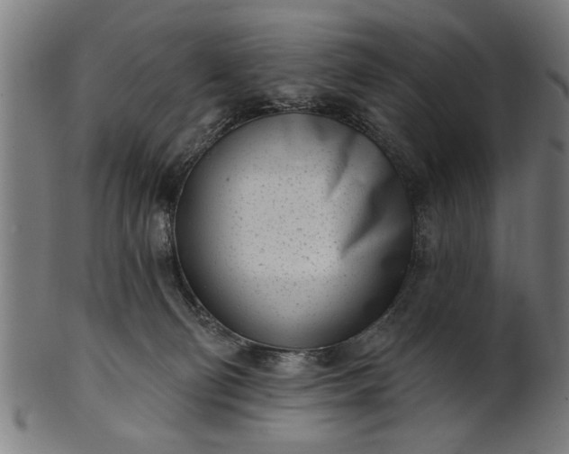 X0000101200130200807111018