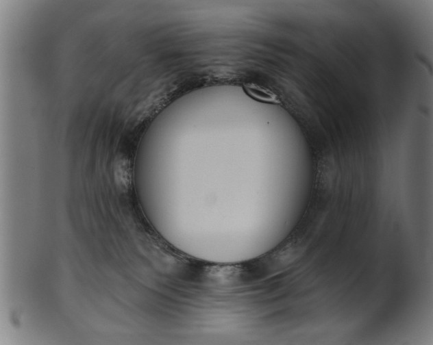 X0000101200135200807111018