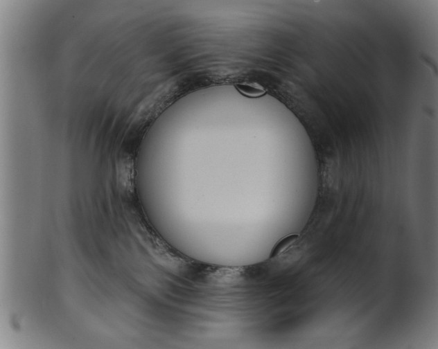 X0000101200138200807111018