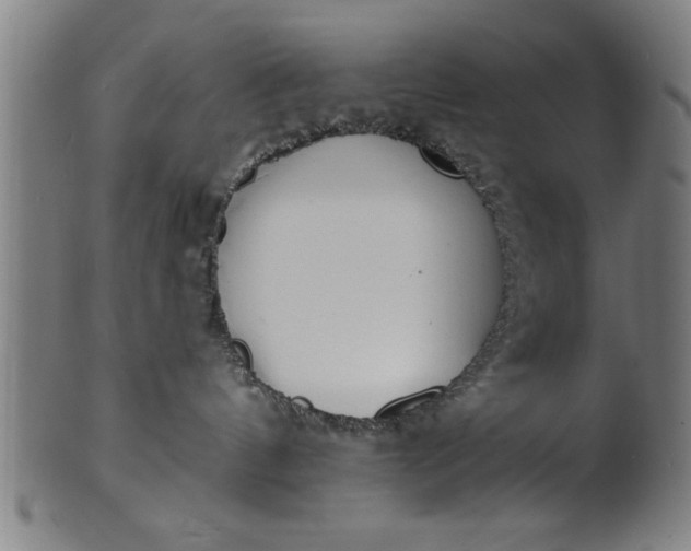 X0000101200144200807111018