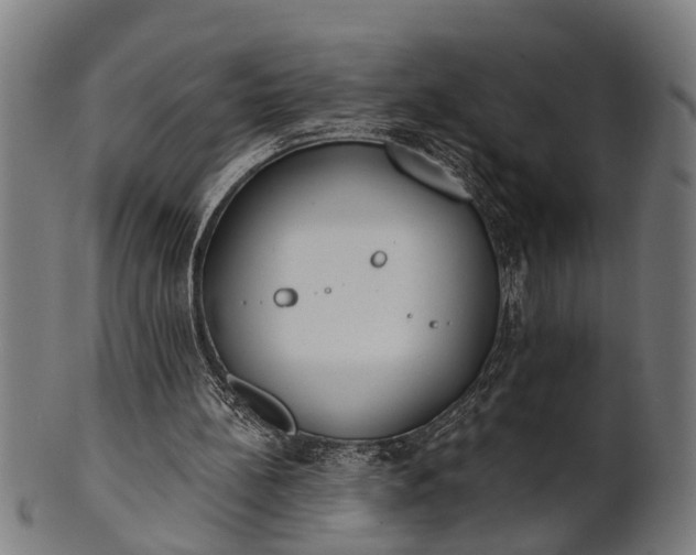X0000101200148200807111017